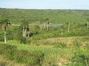 route Matanzas- Cuba