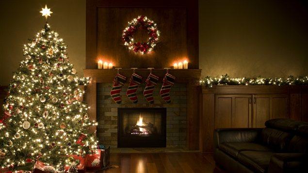 On retrouverait des milliers d'insectes dans les sapins de Noël naturels.