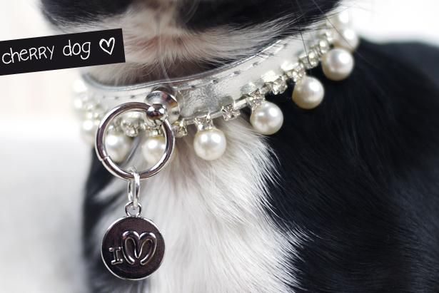 Des colliers à strass, à noeuds, à perles pour chiens