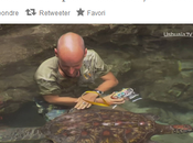 ScreenShot partagez programme Twitter LaBox