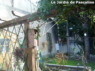 Nichoir suite et fin