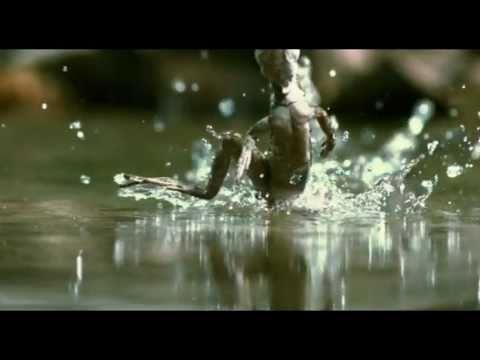 Image de prévisualisation YouTube