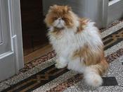 Alors, puisqu'on nous invite, entrons château Raffe