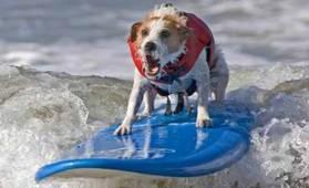 Il fait froid ! Bah bouges toi grognasse … A l’extérieur !
