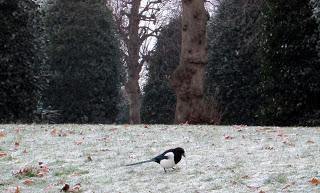 Un hiver à Chester