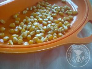 Pop corn au micro-onde et sans matière grasse