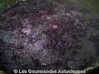 Chou rouge épicé façon dhal