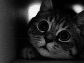 Ultra moderne solitude