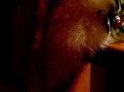 Tout simplement joyeuses fêtes