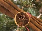 Venez comme vous êtes... avec brin d'herbes gousse épicée