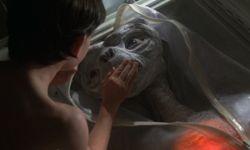 Les chercheurs ont été surpris par les capacités de récupération d'ET.