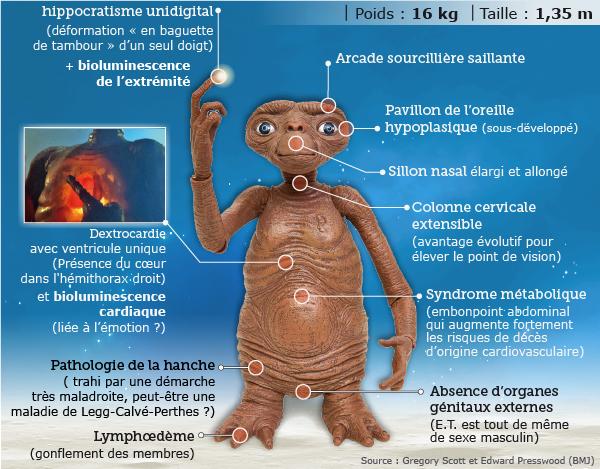 l'étrange anatomie de E.T. l'extraterrestre