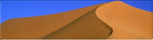 Une Dune [Dossier] Dune