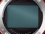 Full Frame 2013?