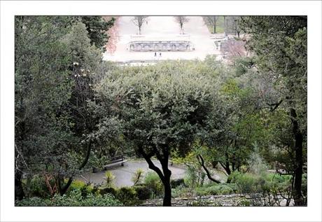 Le jour d'après Jardins de la Fontaine, Nîmes, Parcs, Jardins publics, cygnes noirs, Languedoc