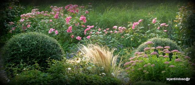 Je fais suite au défi lancé par Geneviève de Mon Doubs Ja...