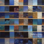 tindersticks-thesomethingrain