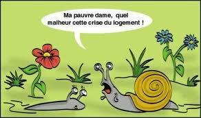 escargot-pauvre.jpg