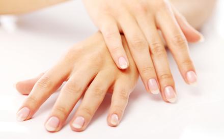 Beautiful hands with french manicure