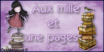 Swap joyeux Noël et bonne année Image and video hosting by TinyPic