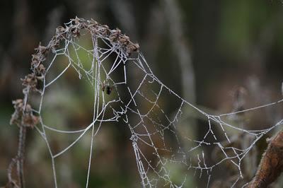 Les Forges de Naix : si on retournait dans le parc ?