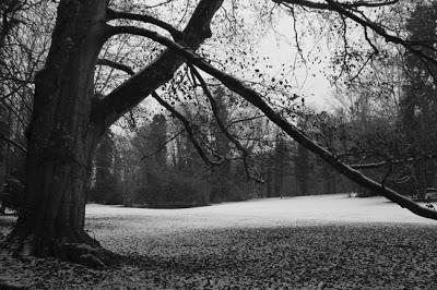 Les Forges de Naix : si on retournait dans le parc ?