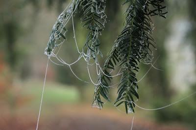 Les Forges de Naix : si on retournait dans le parc ?