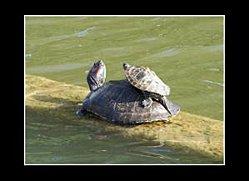 Ras le bol des pisses froid !!!