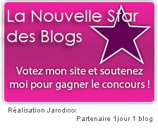 Nouvelle star des blogs