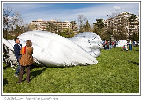 Montgolfiades Genève 2008, Décollage raté de la coupe euro 2008
