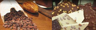 Fèves de cacao et plaquettes de chocolat