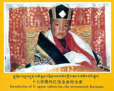 tibet-karmapa-enfant.1207641550.jpg