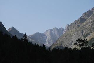 Jolie libraire dans la lumière