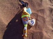 sardine égarée dans désert