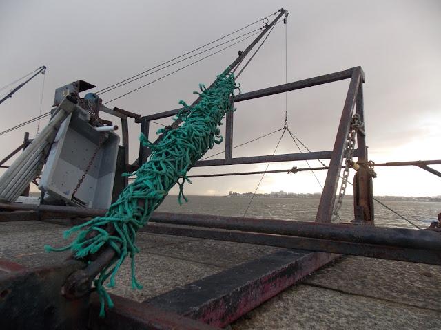 Paul, Louis, Philippe et..tous les autres