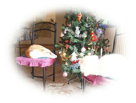 LES GARDIENS DU SAPIN 25 12 2012