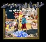 Santigold-Disparate-Youth-608x565