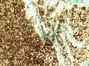 nouveau type magnétisme révolutionnaire