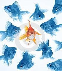 C’est normal, docteur?