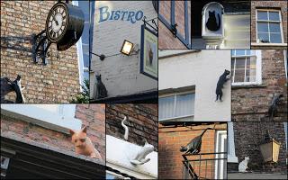 Quelques étranges habitants de York