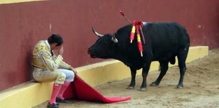 121227 Quelle belle après-midi.JPG