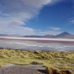 La Bolivie : Ses splendeurs, ses surprises et ses galères.