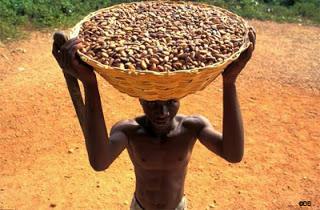 Les enfants-esclaves dans le monde... et l'industrie du cacao ! (2 de 2)
