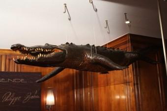 Un emblème Un mythe  340x226