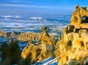 livresque plus (mais m'en lasse pas)