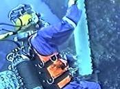 scaphandrier tortue curieuse