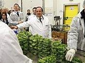 François Hollande Rungis veux dire Français gouvernement mobilisé pour l'emploi»