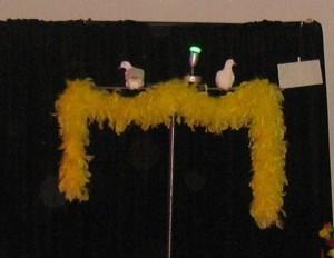 Moments de magie pour petits et grands