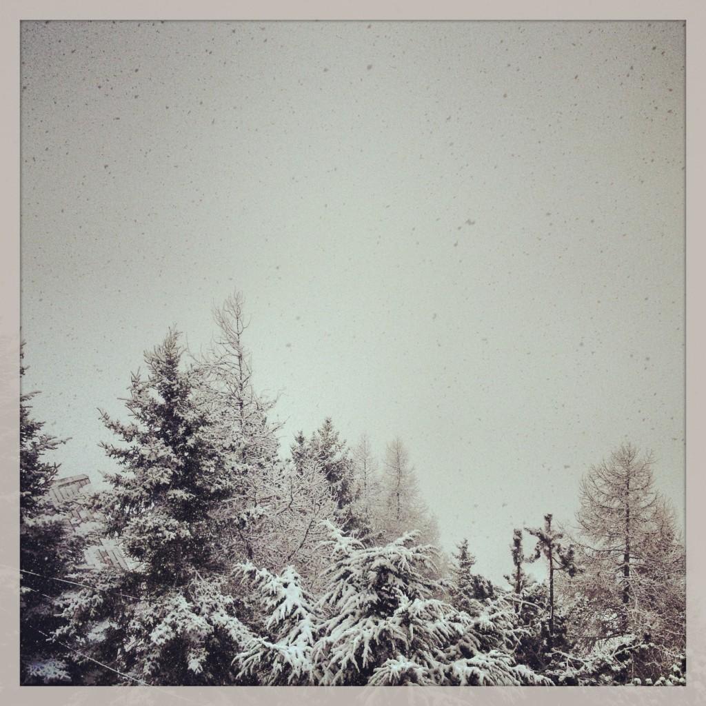 photo 2 1024x1024 Bons baisers des Alpes 