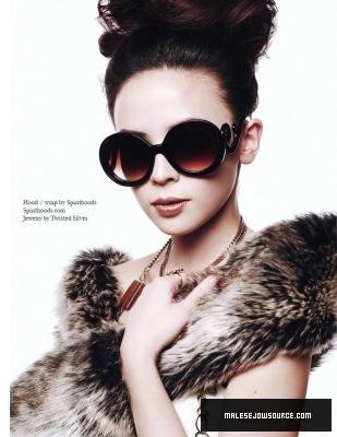 Cliquer pour voir l'image en taille réelle